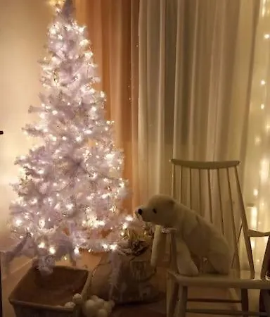 Appartement Yopymista Keskustan Kupeessa